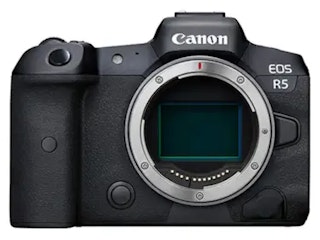 Canonのミラーレスおすすめ8選 初心者の最初の一台からフルサイズ